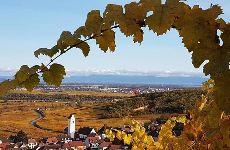 Gites Les Terrasses Du Wineck Katzenthal Eksteriør billede